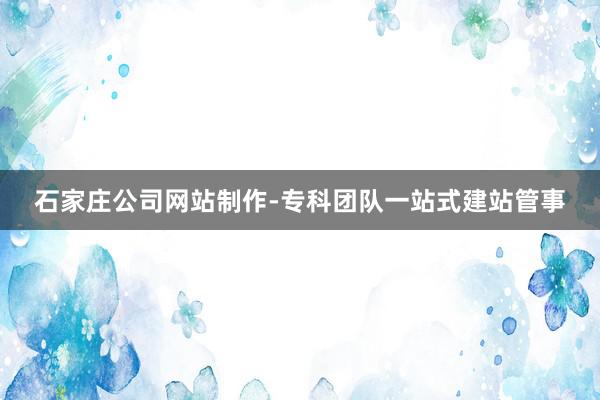 石家庄公司网站制作-专科团队一站式建站管事