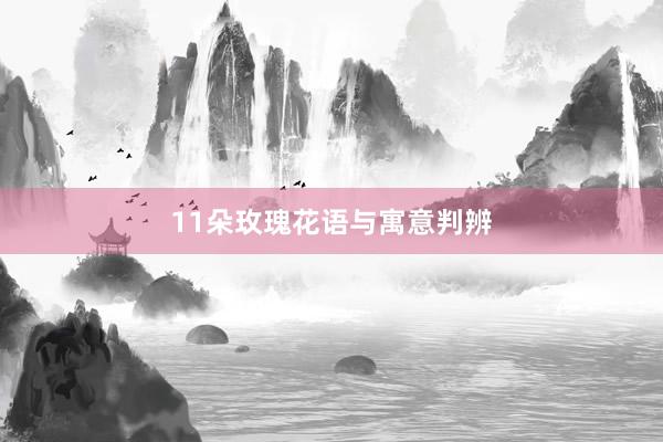 11朵玫瑰花语与寓意判辨