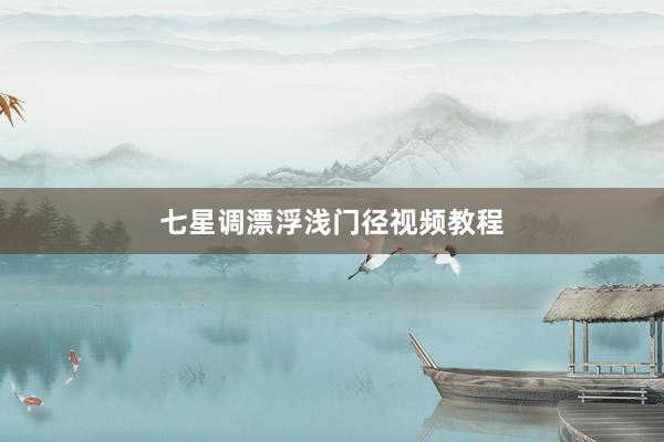 七星调漂浮浅门径视频教程